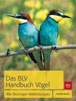 Das BLV Handbuch Vögel Bezzel Einhard