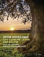 Das geheime Leben der Bäume Wohlleben Peter