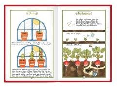Das Große Buch für kleine Gärtner Vogel Antje