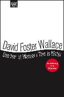Das hier ist Wasser / This is water Wallace David Foster