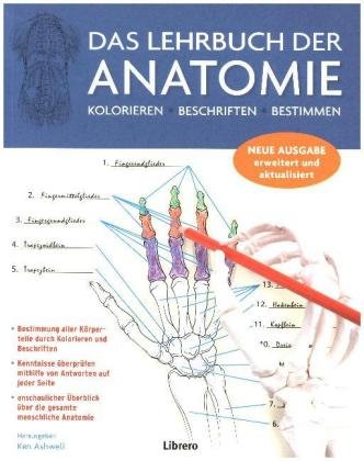 Das Lehrbuch der Anatomie Albertine Kurt H.
