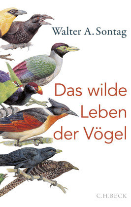 Das wilde Leben der Vögel Beck
