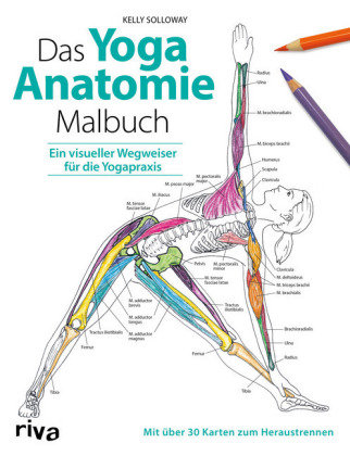 Das Yoga-Anatomie-Malbuch Riva Verlag