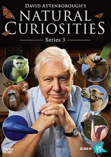 David Attenborough's Natural Curiosities: Series 3 (brak polskiej wersji językowej) Dazzler
