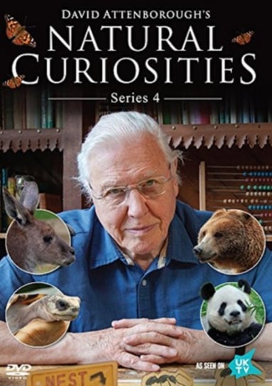 David Attenborough's Natural Curiosities: Series 4 (brak polskiej wersji językowej) Dazzler