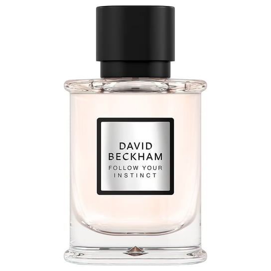David Beckham, Follow Your Instinct, Woda perfumowana spray, 50ml David Beckham