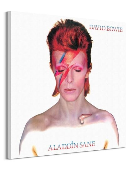 David Bowie Aladdin Sane - obraz na płótnie Pyramid International