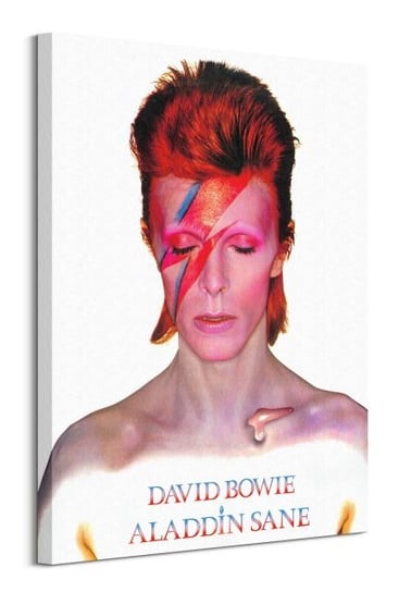 David Bowie Aladdin Sane - obraz na płótnie Pyramid International