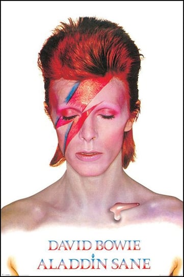 David Bowie Aladdin Sane - plakat 61x91,5 cm Inny producent