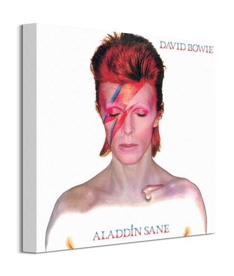 David Bowie Alladin Sane - obraz na płótnie Pyramid International