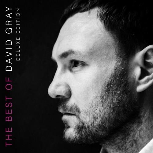 David Gray: The Best Of (Limited Edition) Gray David