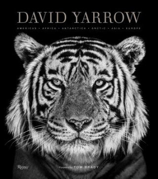David Yarrow Photography Yarrow David, Brady Tom
