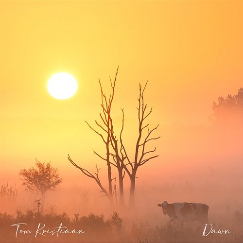 Dawn Tom Kristiaan