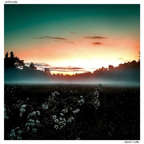 Dawn Calls antinode