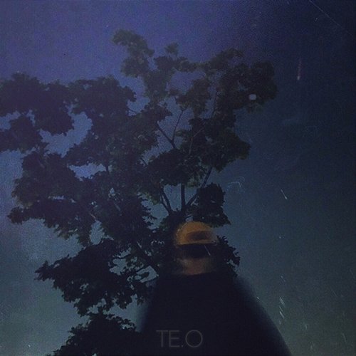 Dawn Moon TE.O