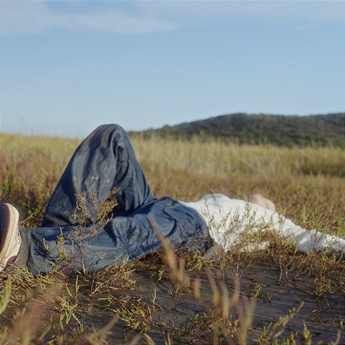 Daydream D.Van