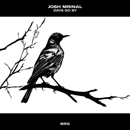 Days Go By Josh Mrinal
