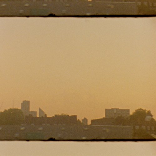 Daytime Coma Archive