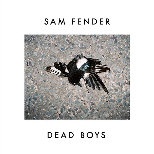 Dead Boys Sam Fender