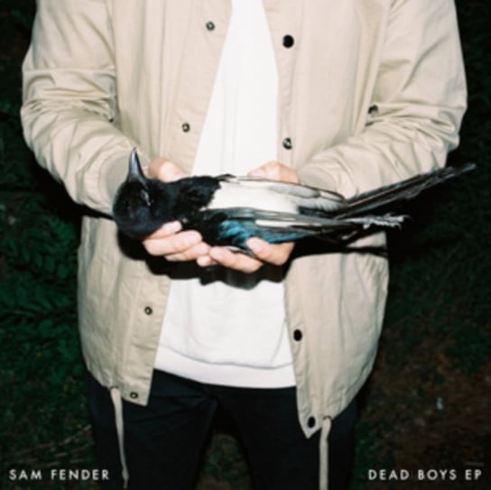 Dead Boys, płyta winylowa Fender Sam