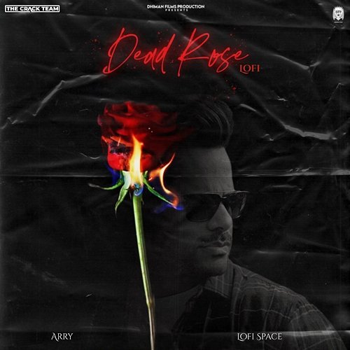 Dead Rose Arry, Lofi Space