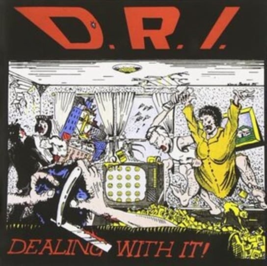 Dealing With It! D.R.I.