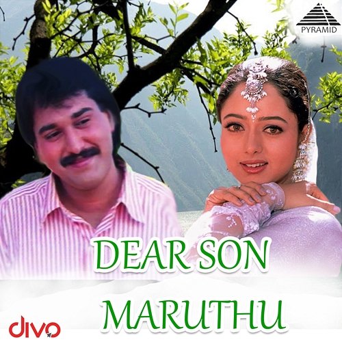 Dear Son Maruthu (Original Motion Picture Soundtrack) Deva