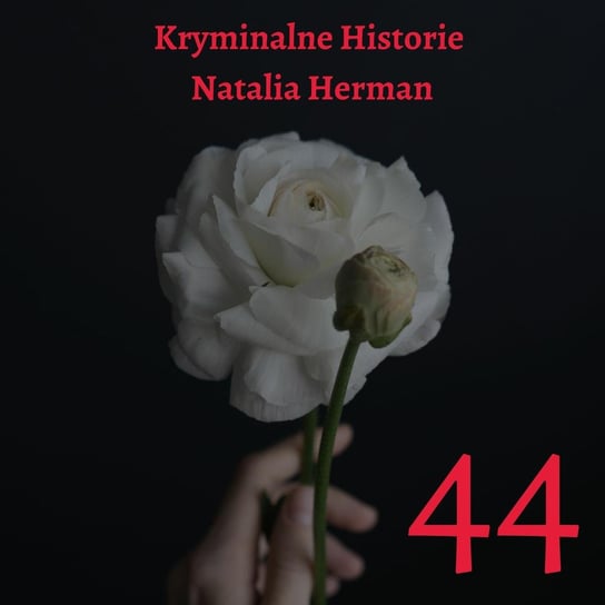 Debbie Griggs. 20 lat poszukiwań - Natalia Herman Historie - podcast Natalia Herman