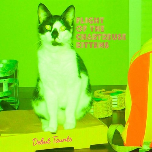 Debut Taunts Flight of the Chartreuse Kittens