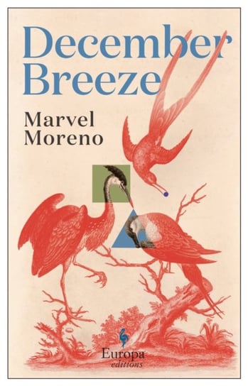 December Breeze. A masterful novel on womanhood in Colombia Marvel Moreno