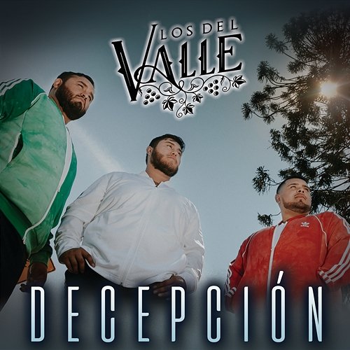 Decepción Los del Valle