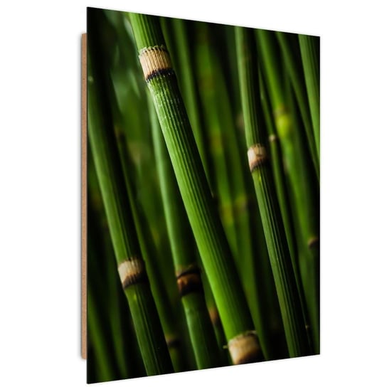 Deco Panel CARO Bambusowy las, 40x60 cm Feeby