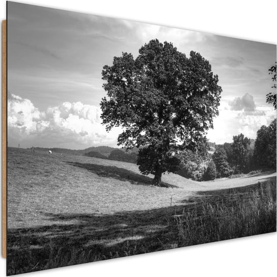 Deco panel CARO Drzewo na polanie 2, 120x80 cm Feeby
