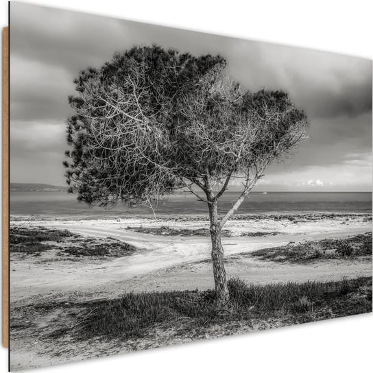 Deco panel CARO Drzewo nad morzem, 90x60 cm Feeby