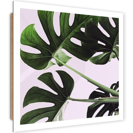 Deco Panel CARO Egzotyczne liście monstera 1, 50x50 cm Feeby