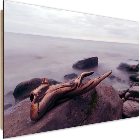 Deco panel CARO Gałąź na kamienistej plaży, 120x80 cm Feeby