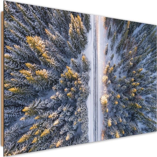 Deco panel CARO Las zimą z lotu ptaka, 90x60 cm Feeby
