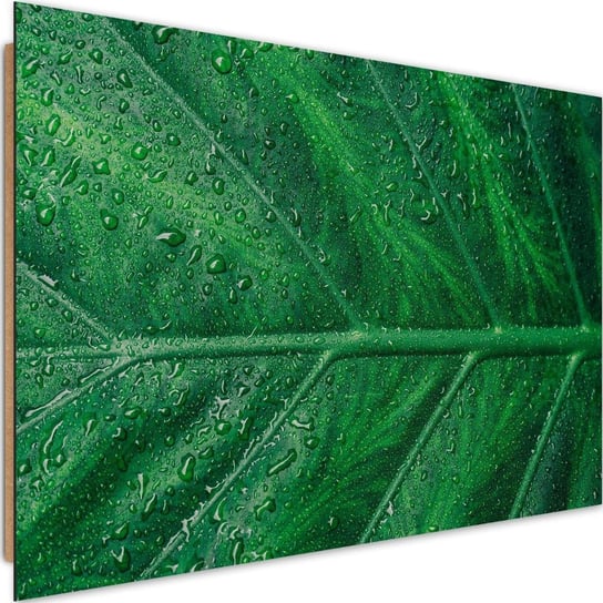 Deco panel CARO Mokry liść z bliska, 60x40 cm Feeby
