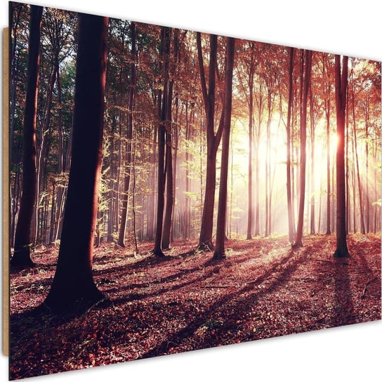 Deco panel CARO Promienie słońca wśród drzew, 120x80 cm Feeby