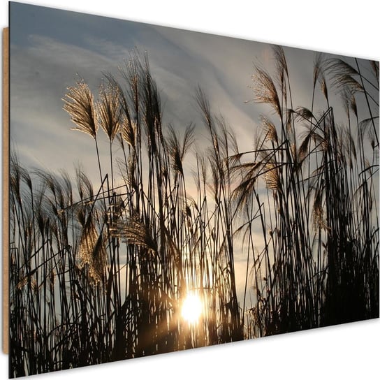 Deco panel CARO Słońce wśród traw, 120x80 cm Feeby