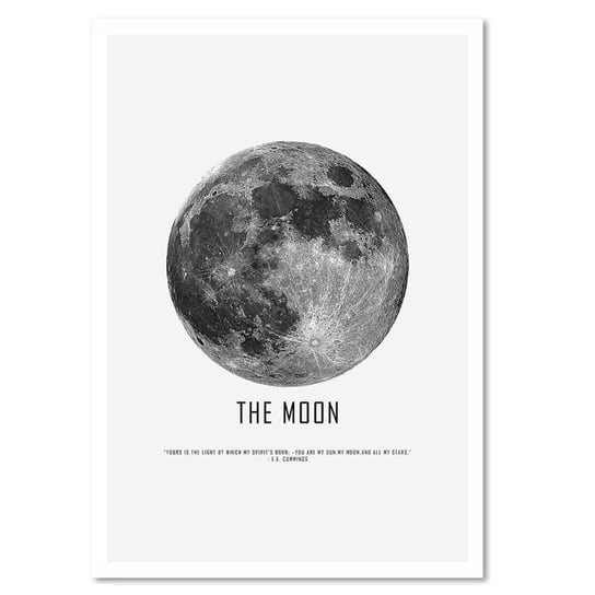 Deco panel CARO The moon, 60x80 cm Feeby