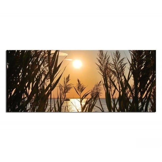 Deco panel CARO Trzciny nad jeziorem zachód słońca, 140x45 cm Feeby