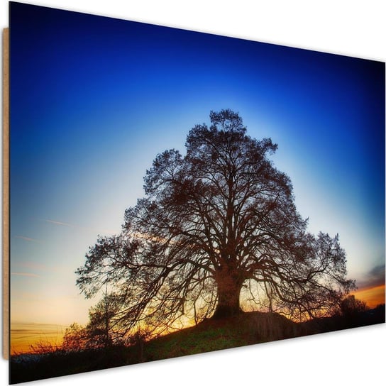 Deco panel CARO Wielkie drzewo o zmroku, 90x60 cm Feeby