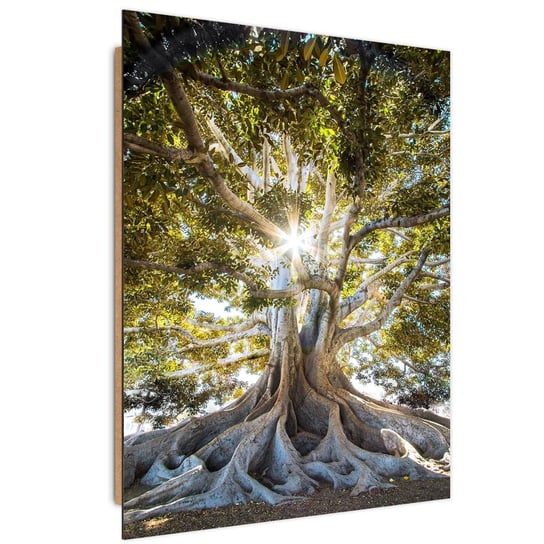 Deco Panel CARO Wielkie egzotyczne drzewo, 60x90 cm Feeby