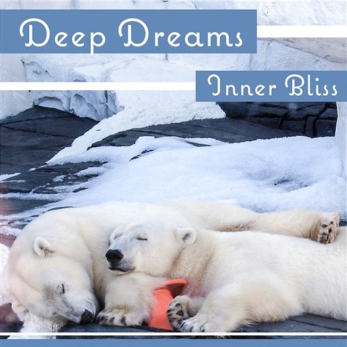 Deep Dreams – Inner Bliss, Gentle Sounds for Deep Sleep, Soft Music for Meditation, Golden Slumber, Lucid Dreaming, Fantastic Imaginations Various Artists