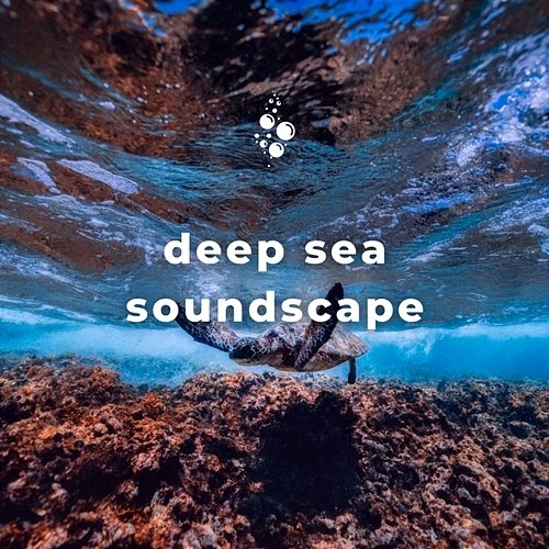 Deep Sea Soundscape Underwater World, Whale Song, Epic Soundscapes