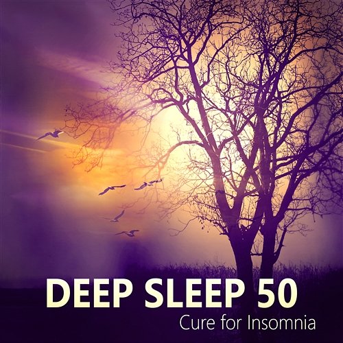 Deep Sleep 50: Cure for Insomnia, Music for the Treatment of Sleep Disorders, Sleeping Songs to Quieten & Relax Trouble Sleeping Music Universe
