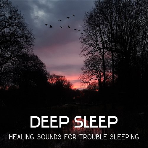 Deep Sleep – Healing Sounds for Trouble Sleeping, Natural Hypnosis, Celtic Dreaming, Meditation and Relaxing Music Deep Sleep Sanctuary