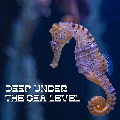 Deep Under the Sea Level Underwater Sounds Channel, Water Soundscapes, Mother Nature Sound FX