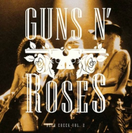 Deer Creek 1991 Guns N' Roses